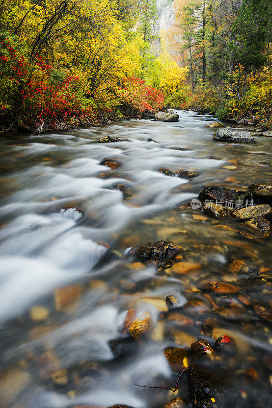 Palisades Creek Autumn Beauty in Swan Valley爱达荷州